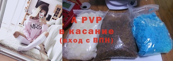 прущие грибы Саяногорск
