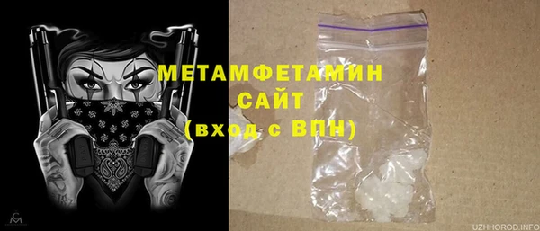 прущие грибы Саяногорск