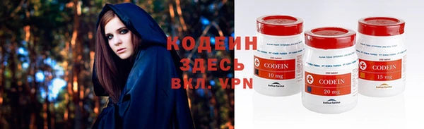 прущие грибы Саяногорск