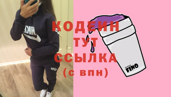 прущие грибы Саяногорск