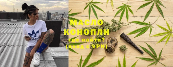 прущие грибы Саяногорск
