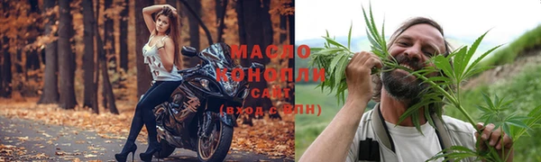 прущие грибы Саяногорск
