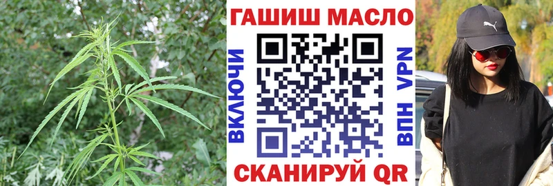 Купить закладки  Юрьев-Польский  ТГК вейп 
