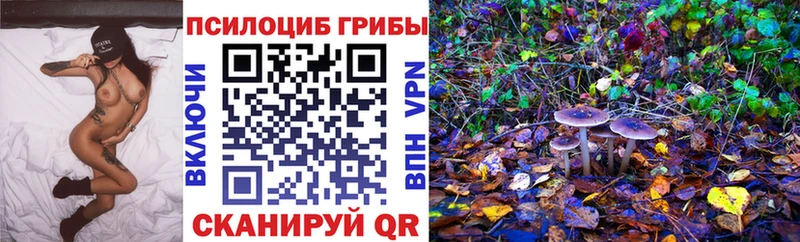 Купить где  Юрьев-Польский  Галлюциногенные грибы прущие грибы 